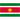 Suriname Major League